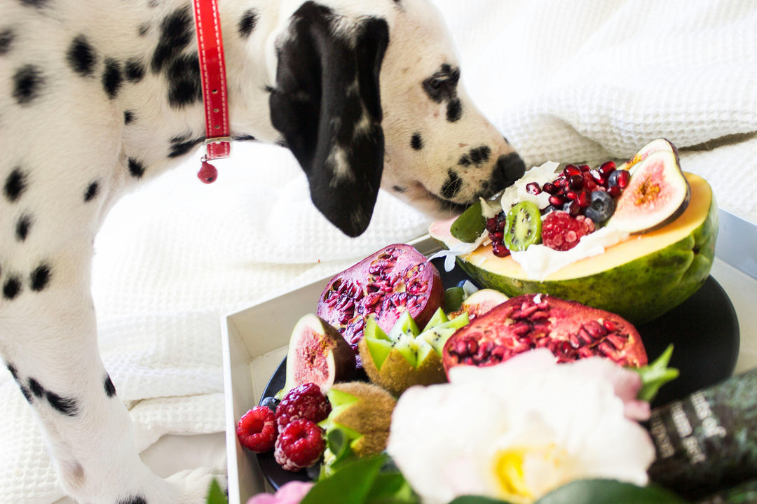 Heeft een hond vitamines nodig?