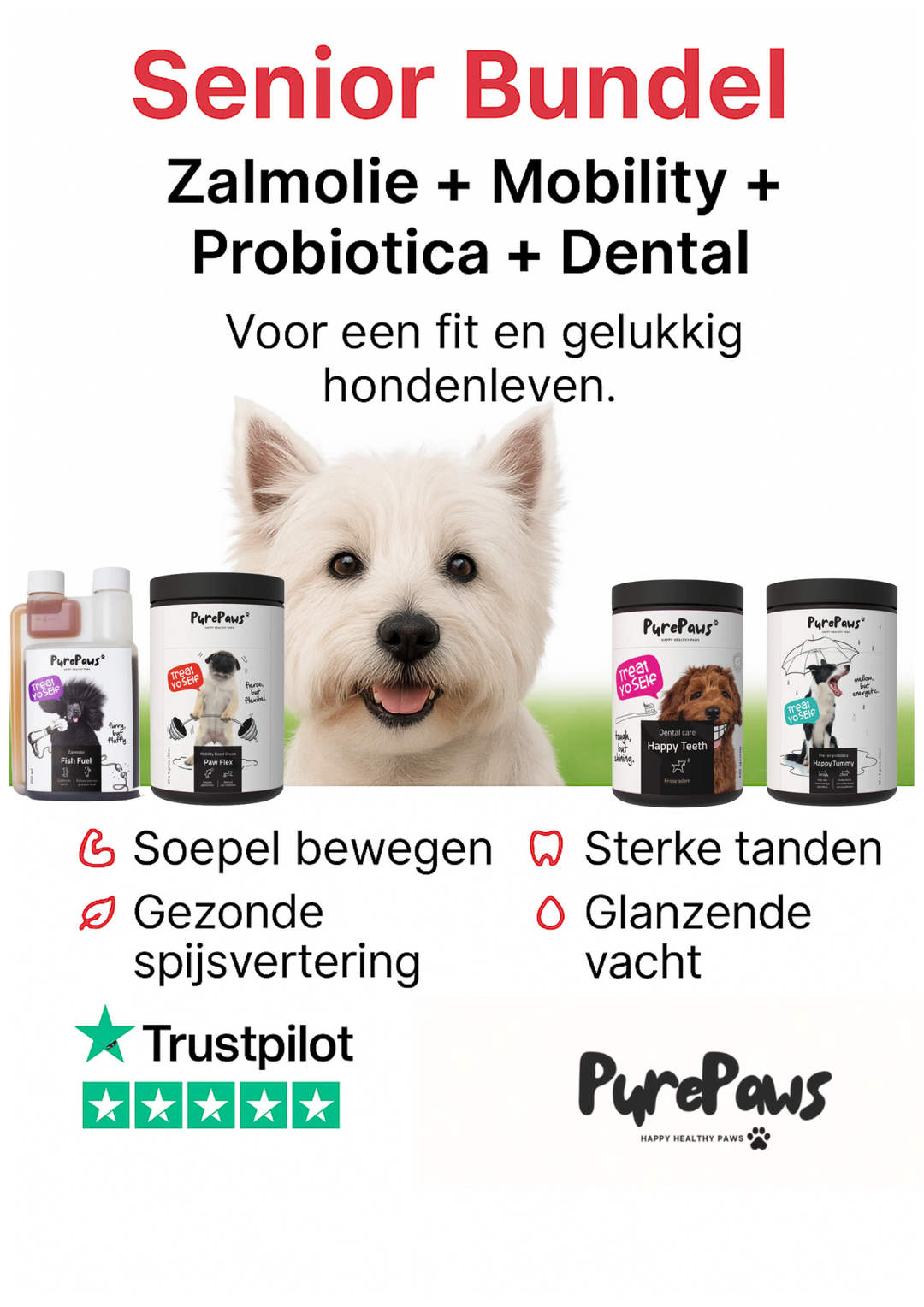 Senior bundel Pure Paws - Zalmolie, Mobility, Probiotica & Dental