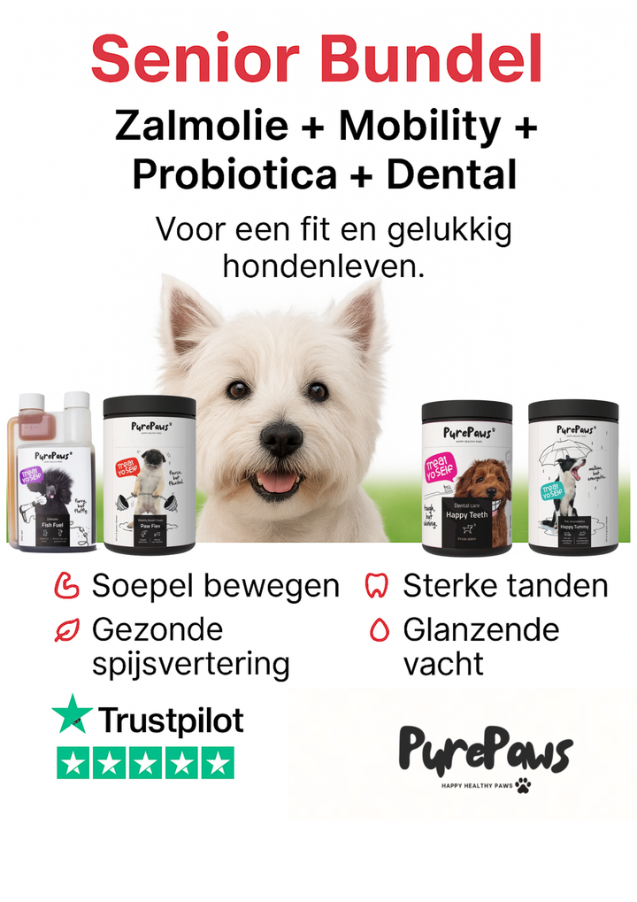 Senior bundel Pure Paws - Zalmolie, Mobility, Probiotica & Dental
