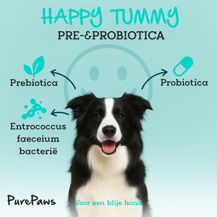 Happy Tummy Pre- & Probiotica voor honden