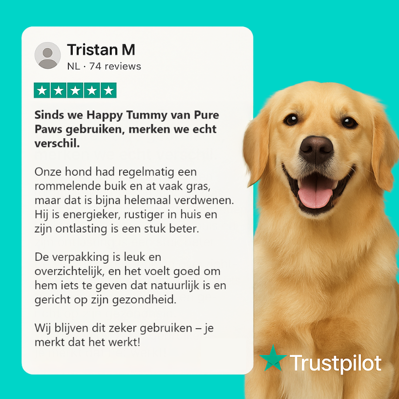 Happy Tummy Pre- & Probiotica voor honden