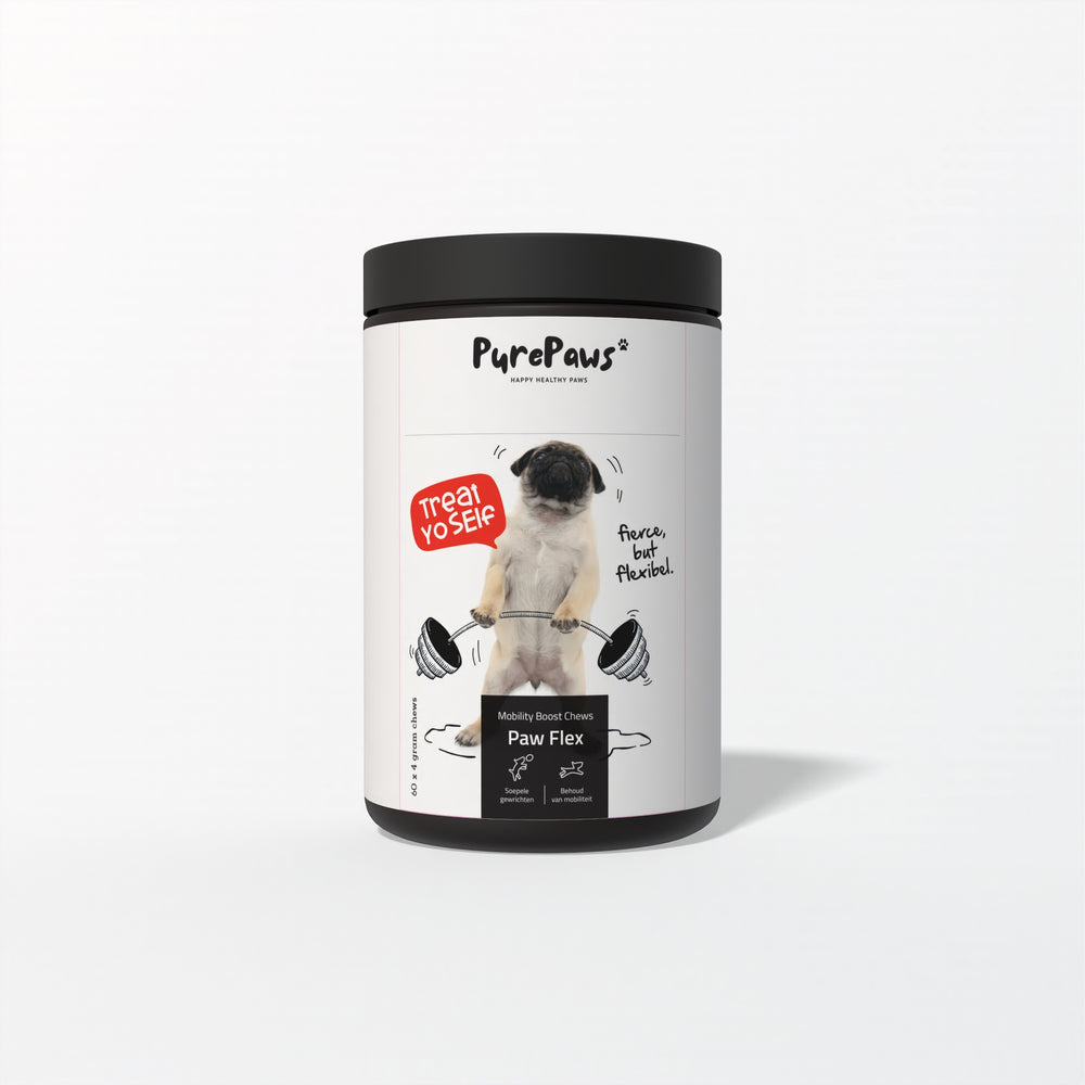 gewrichts supplement hond