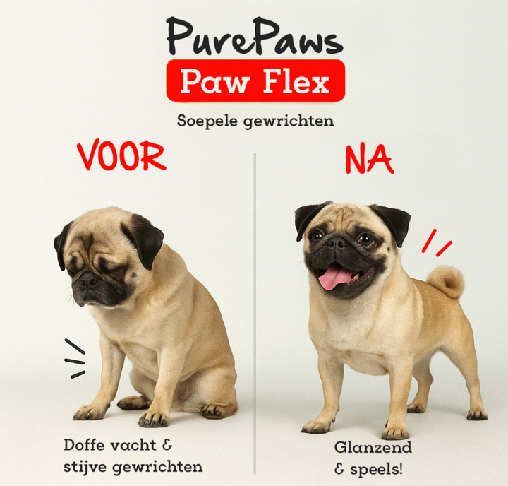 Paw Flex Mobility boost voor honden