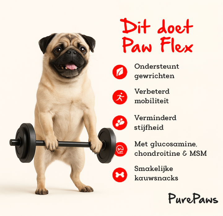 Paw Flex Mobility boost voor honden