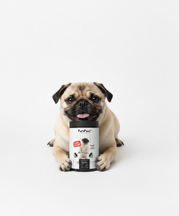 Paw Flex Mobility boost voor honden
