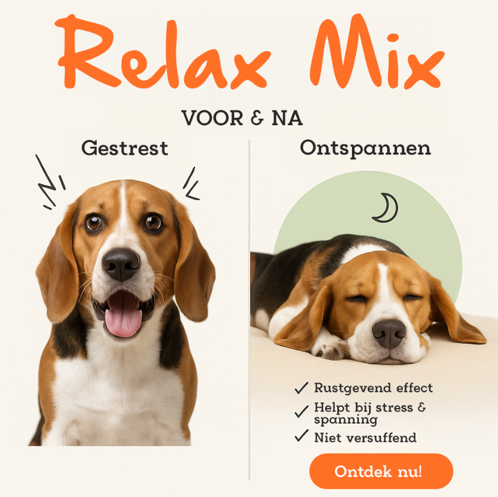 Stress Less anti stress (pasta) voor honden