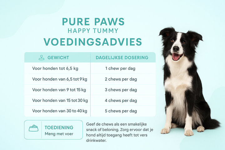 Happy Tummy Pre- & Probiotica voor honden