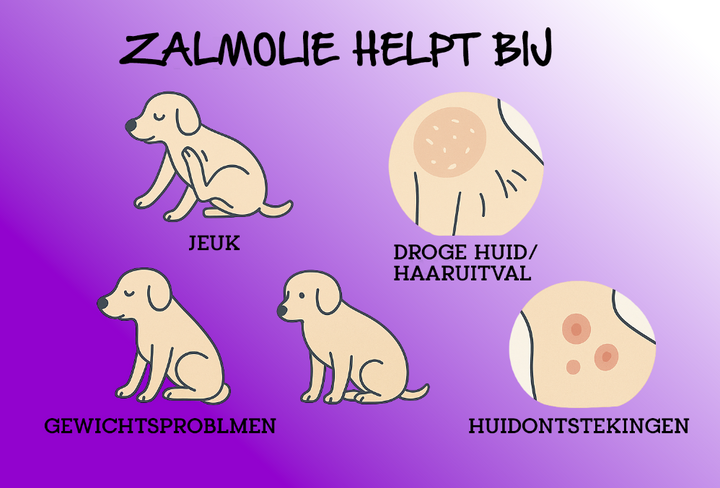Fish Fuel zalmolie voor honden