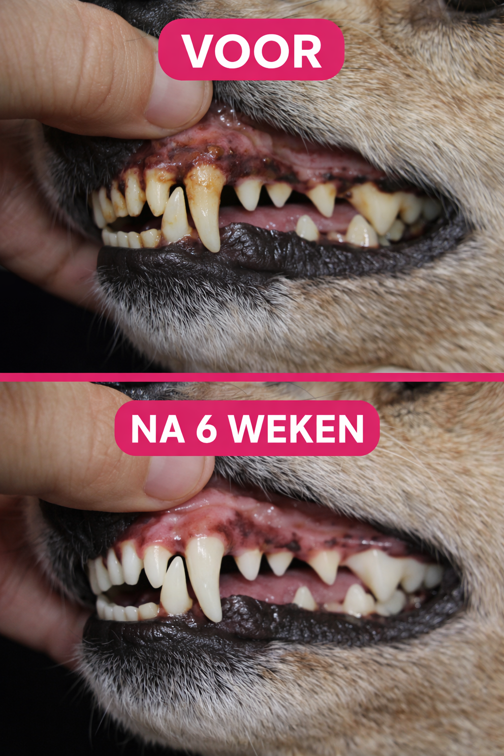 Happy Teeth gebitsverzorging voor honden